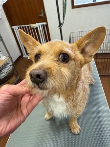 65dd0aba-8074-4e9f-972d-acefac1a1d3f