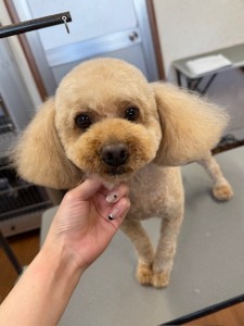 65dd0aba-8074-4e9f-972d-acefac1a1d3f