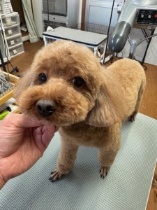 65dd0aba-8074-4e9f-972d-acefac1a1d3f