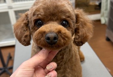 65dd0aba-8074-4e9f-972d-acefac1a1d3f