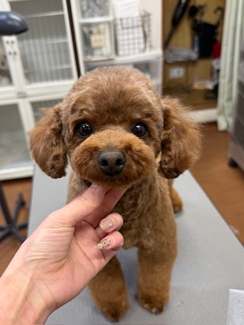 65dd0aba-8074-4e9f-972d-acefac1a1d3f