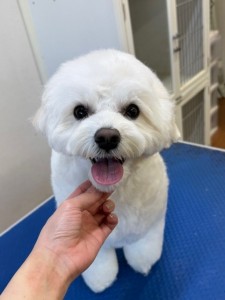 65dd0aba-8074-4e9f-972d-acefac1a1d3f