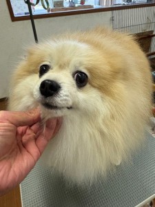 65dd0aba-8074-4e9f-972d-acefac1a1d3f