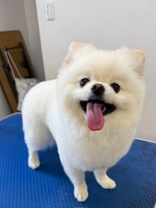 65dd0aba-8074-4e9f-972d-acefac1a1d3f