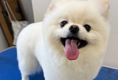 65dd0aba-8074-4e9f-972d-acefac1a1d3f