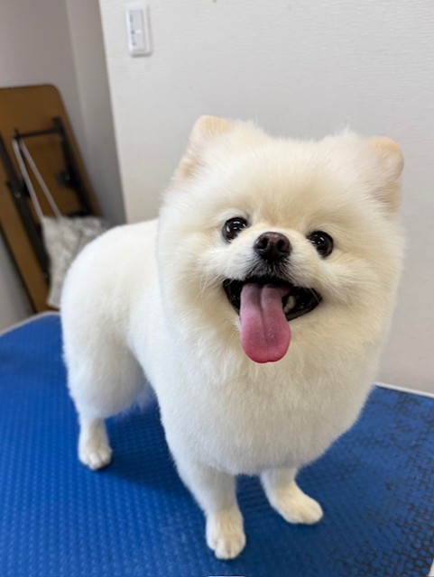 65dd0aba-8074-4e9f-972d-acefac1a1d3f