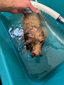 65dd0aba-8074-4e9f-972d-acefac1a1d3f