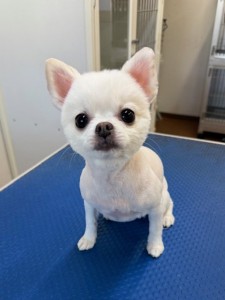 6d382006-99a9-448f-abb0-1e847c1c3674