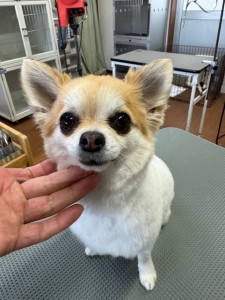 6d382006-99a9-448f-abb0-1e847c1c3674