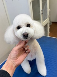 6d382006-99a9-448f-abb0-1e847c1c3674