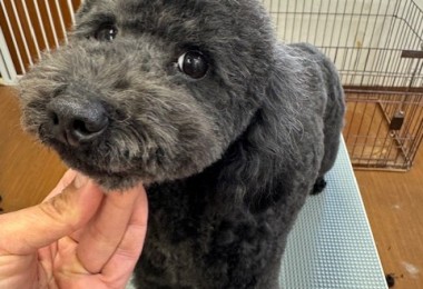 6d382006-99a9-448f-abb0-1e847c1c3674