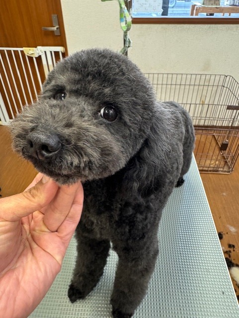 6d382006-99a9-448f-abb0-1e847c1c3674