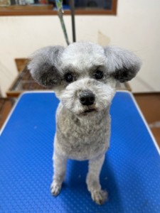 6d382006-99a9-448f-abb0-1e847c1c3674