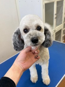 6d382006-99a9-448f-abb0-1e847c1c3674