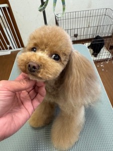 6d382006-99a9-448f-abb0-1e847c1c3674