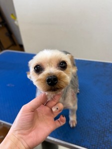 6d382006-99a9-448f-abb0-1e847c1c3674