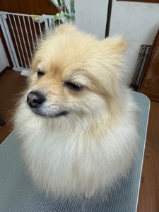 6d382006-99a9-448f-abb0-1e847c1c3674