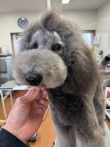 6d382006-99a9-448f-abb0-1e847c1c3674