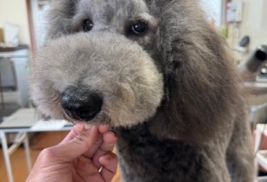 6d382006-99a9-448f-abb0-1e847c1c3674