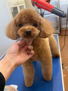 6d382006-99a9-448f-abb0-1e847c1c3674