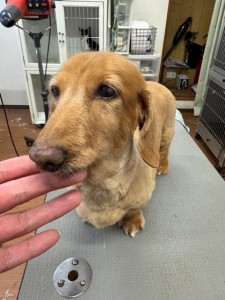 6d382006-99a9-448f-abb0-1e847c1c3674