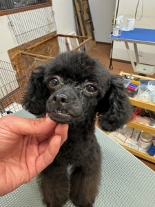 6d382006-99a9-448f-abb0-1e847c1c3674