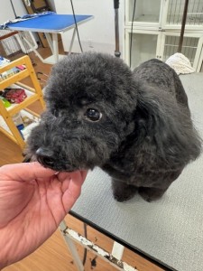 6d382006-99a9-448f-abb0-1e847c1c3674