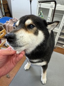 6d382006-99a9-448f-abb0-1e847c1c3674