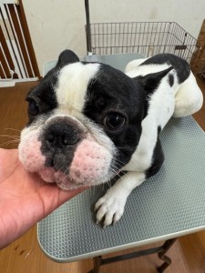 6d382006-99a9-448f-abb0-1e847c1c3674