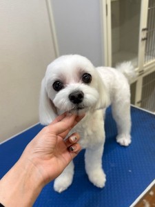 6d382006-99a9-448f-abb0-1e847c1c3674