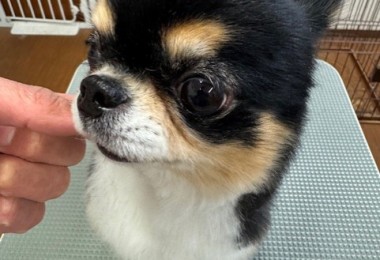 6d382006-99a9-448f-abb0-1e847c1c3674