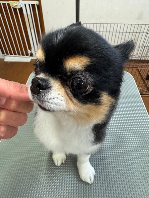 6d382006-99a9-448f-abb0-1e847c1c3674