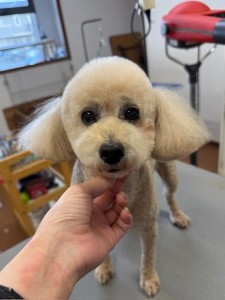 6d382006-99a9-448f-abb0-1e847c1c3674