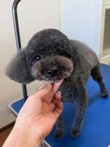 6d382006-99a9-448f-abb0-1e847c1c3674