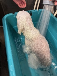 6d382006-99a9-448f-abb0-1e847c1c3674