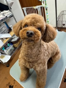 6d382006-99a9-448f-abb0-1e847c1c3674