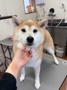 6d382006-99a9-448f-abb0-1e847c1c3674