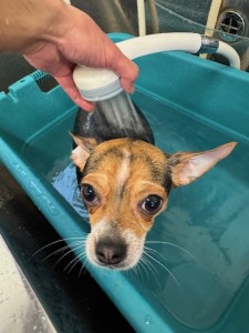 77638c59-899c-4d39-aaf7-6e776c626890