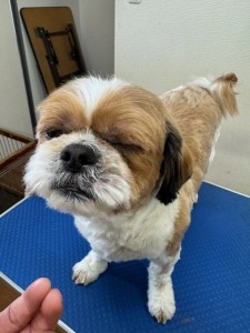 77638c59-899c-4d39-aaf7-6e776c626890