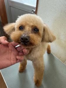 77638c59-899c-4d39-aaf7-6e776c626890