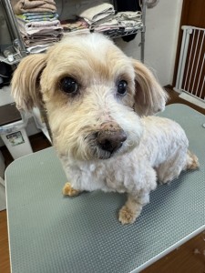 77638c59-899c-4d39-aaf7-6e776c626890