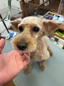 77638c59-899c-4d39-aaf7-6e776c626890