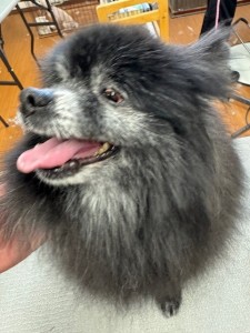 77638c59-899c-4d39-aaf7-6e776c626890