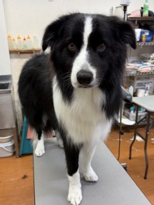 ea5ddba5-6aed-406b-8cb9-8c2451b17e85