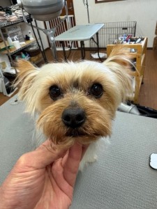 ea5ddba5-6aed-406b-8cb9-8c2451b17e85