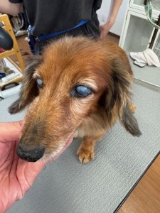 ea5ddba5-6aed-406b-8cb9-8c2451b17e85