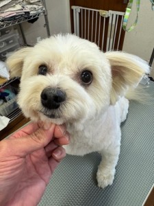 ea5ddba5-6aed-406b-8cb9-8c2451b17e85