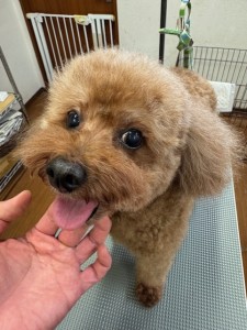 ea5ddba5-6aed-406b-8cb9-8c2451b17e85