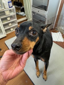 f2bffde2-505f-41aa-8773-566d9e057f3f