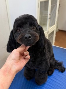 f2bffde2-505f-41aa-8773-566d9e057f3f